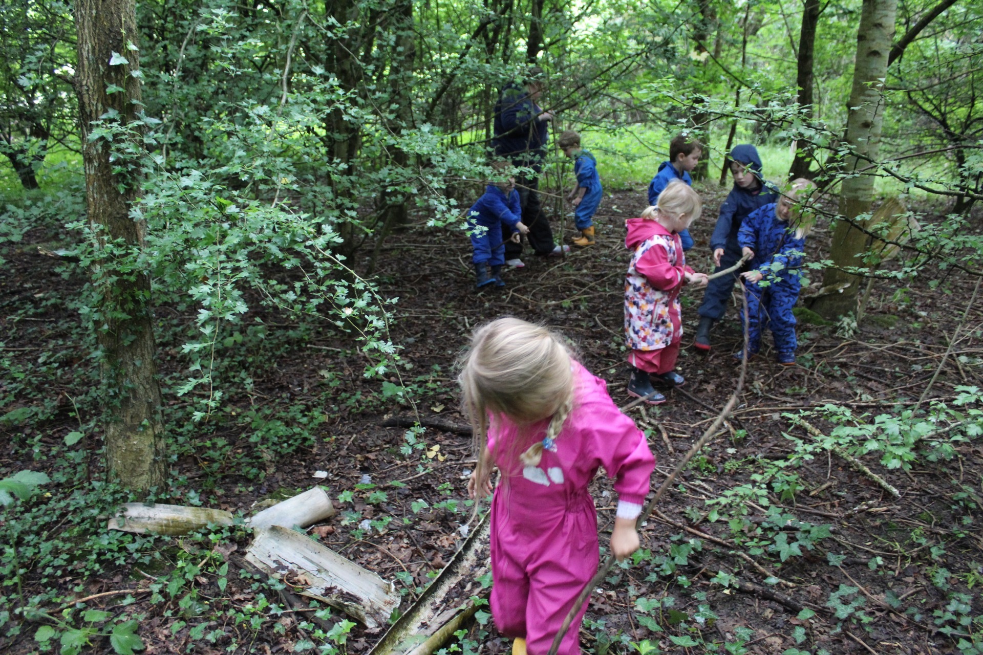 Forest School 1