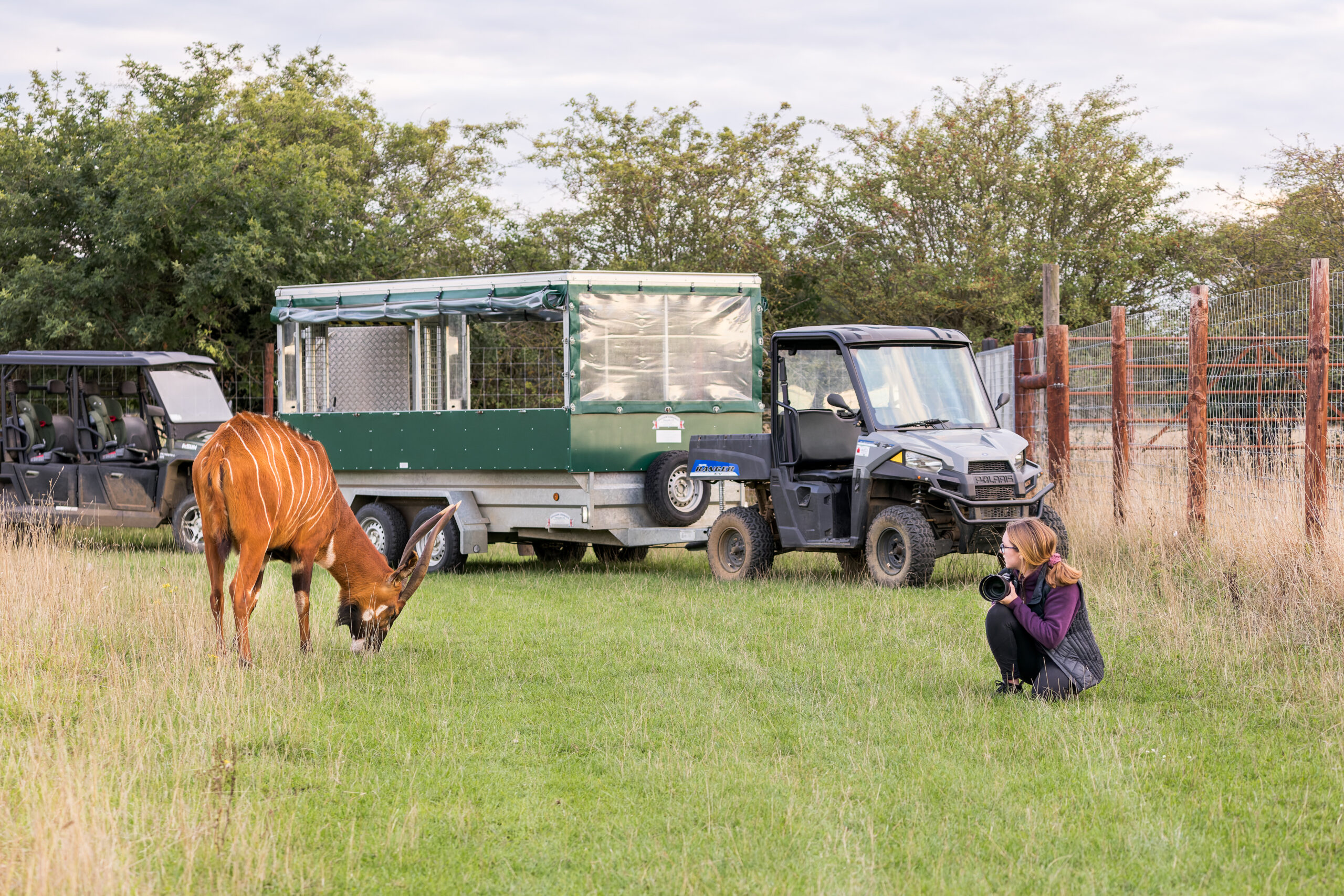 Photographer on foot with a mountain bongo