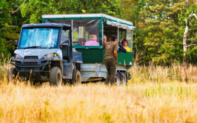 A workshop filled with wildlife and wonder