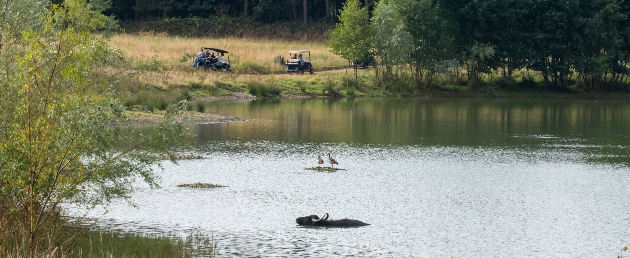 Buggies going round a lake on a self-drive tour