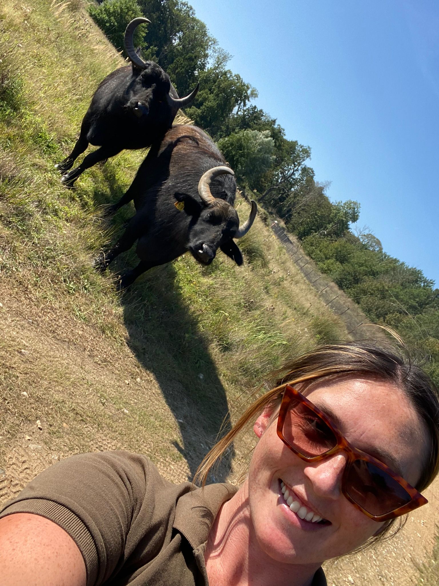 Molly and the Buffalo