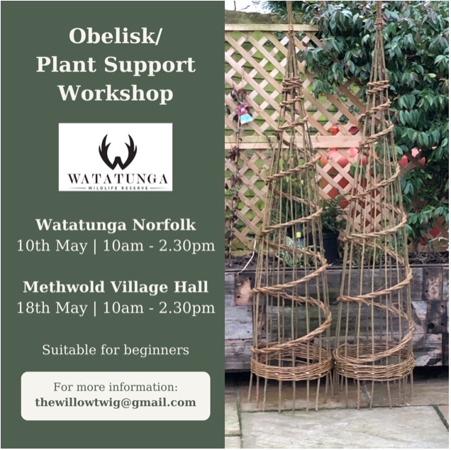 Willow obelisk planters and info on how to book the workshop via thewillowtwig@gmail.com