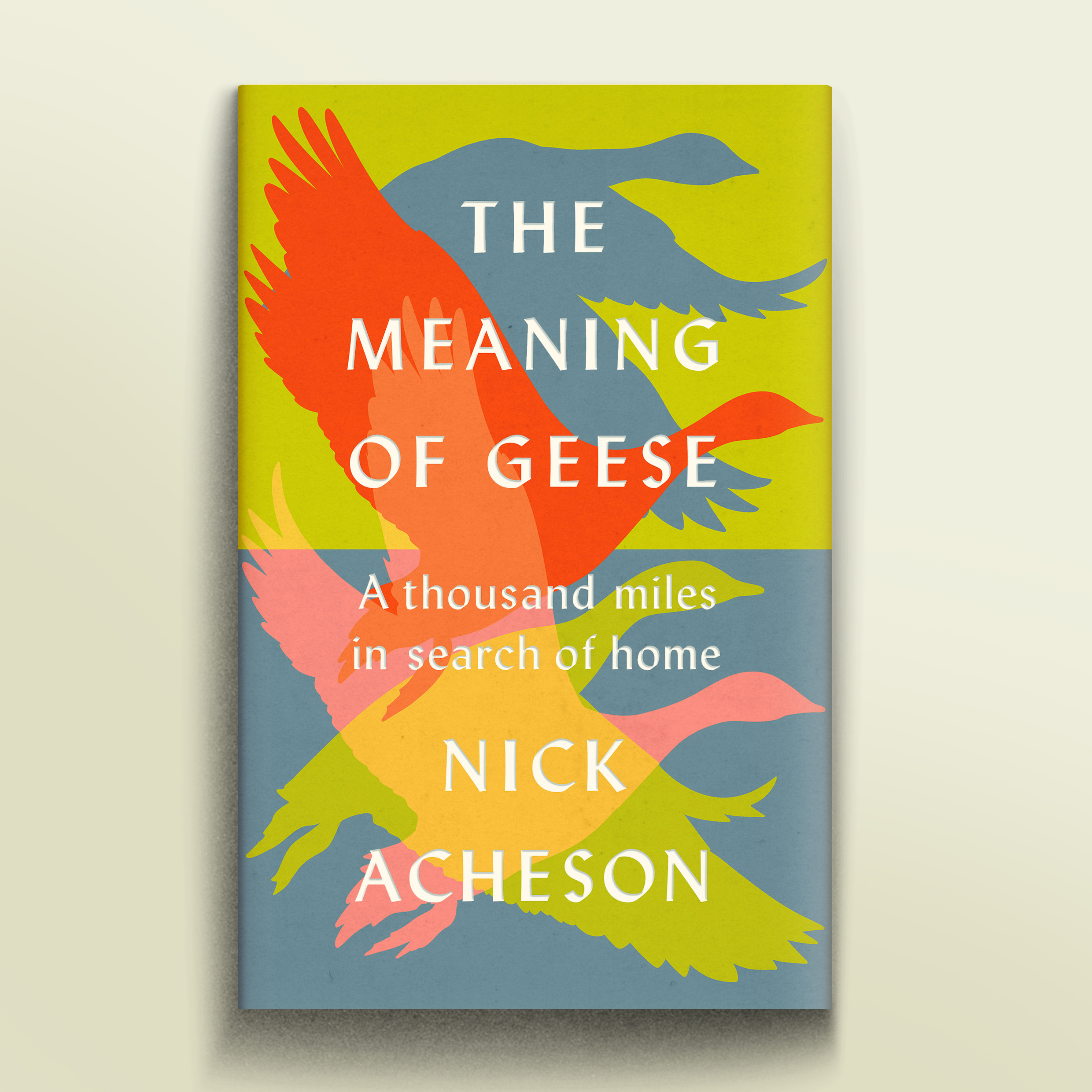 A copy of a yellow, orange, pink and blue book cover reminscent of the sky at sunset, with four flying geese silhouetted  on it.  The title is The Meaning of Geee by Nick Acheson