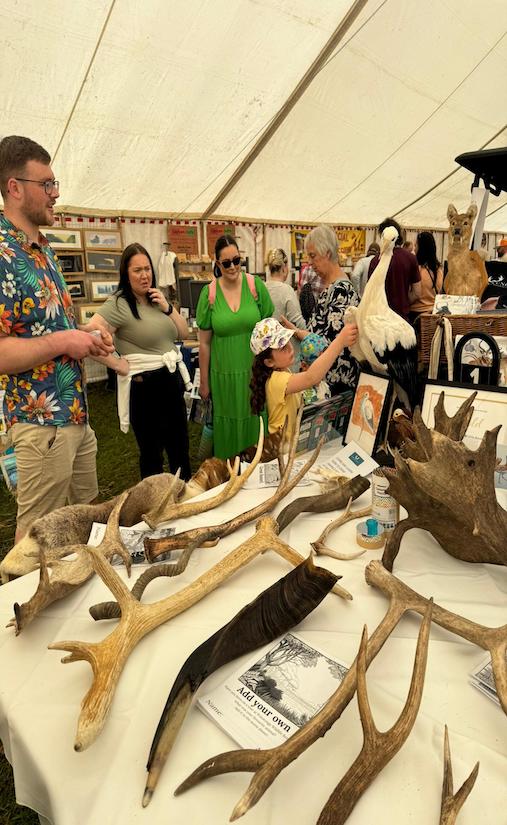 An educational display of deer, birds and antelope at a country fair