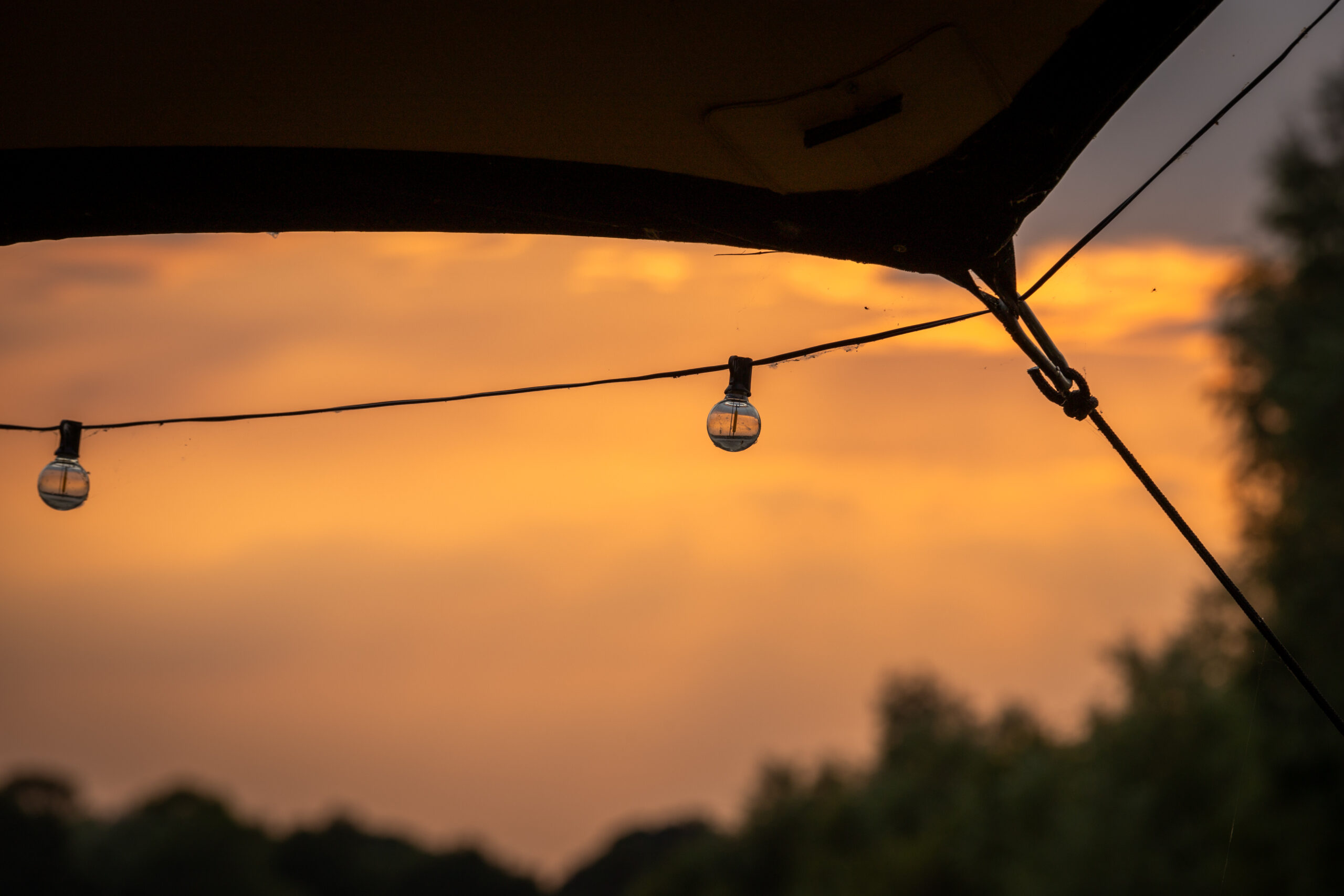 Stretch tent bulbs against the sunset background