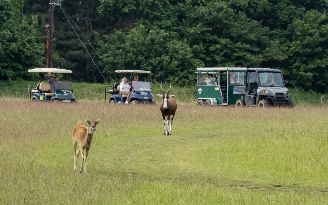 Exploring Watatunga by Wheelchair: Lorraine’s Perspective