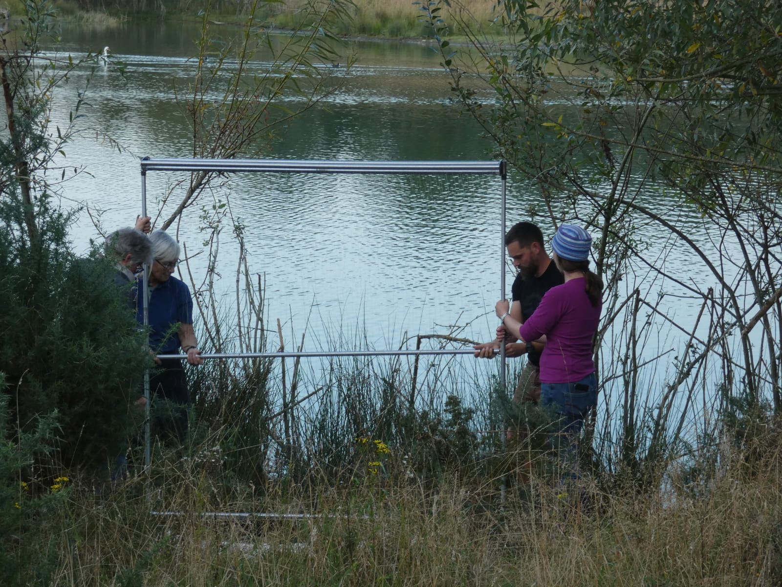 Norfolk Bat Group setting up traps around Safari Waters