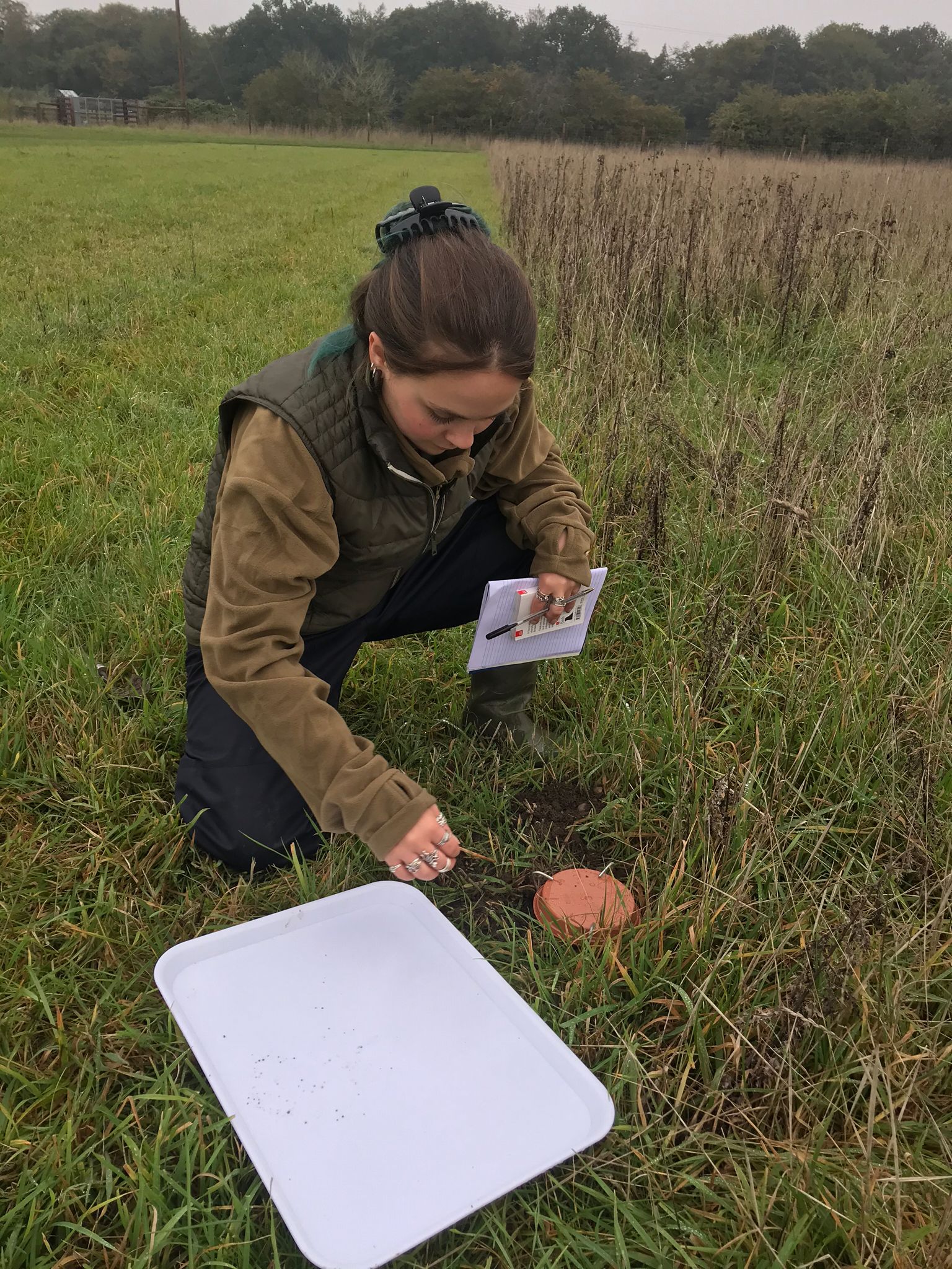 Miranda gathering results from an ecology survey