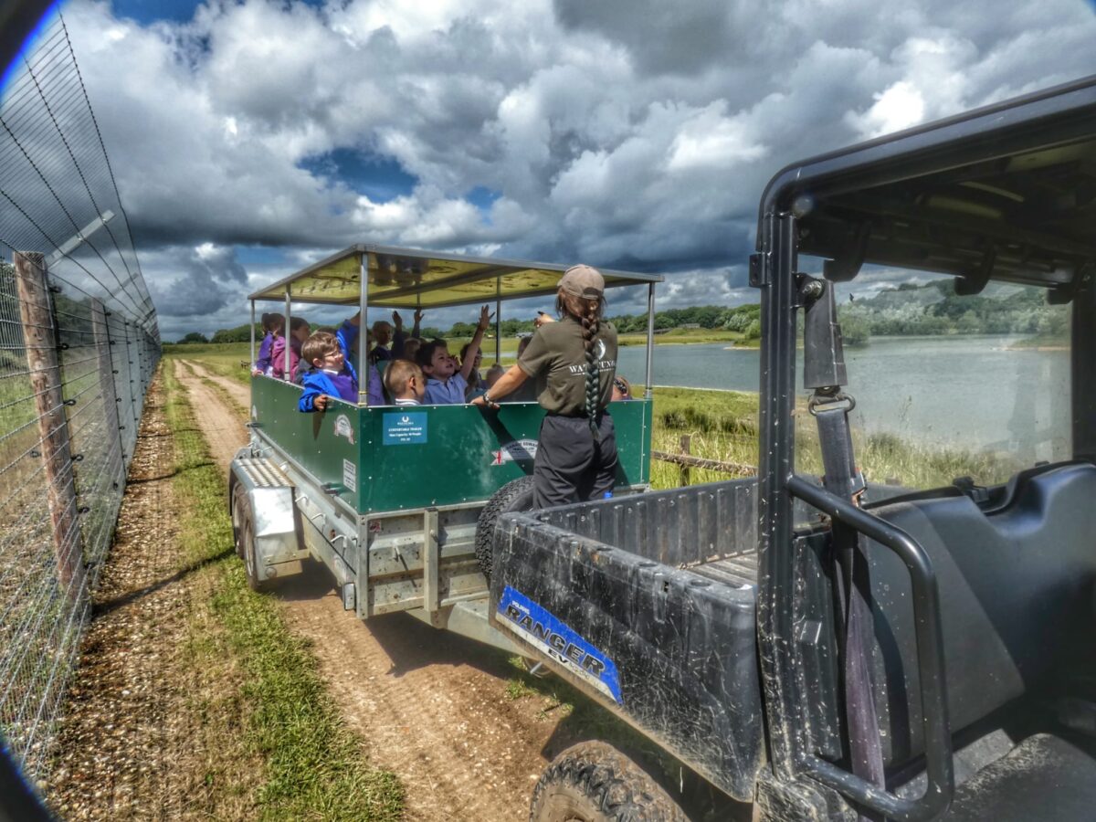 Miranda exploring the reserve with a school group. Taken by Ewan Bimpson