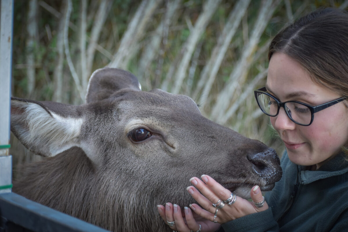 Miranda Sealy with Indian Sambar, Orja. Taken by Vincent Rose