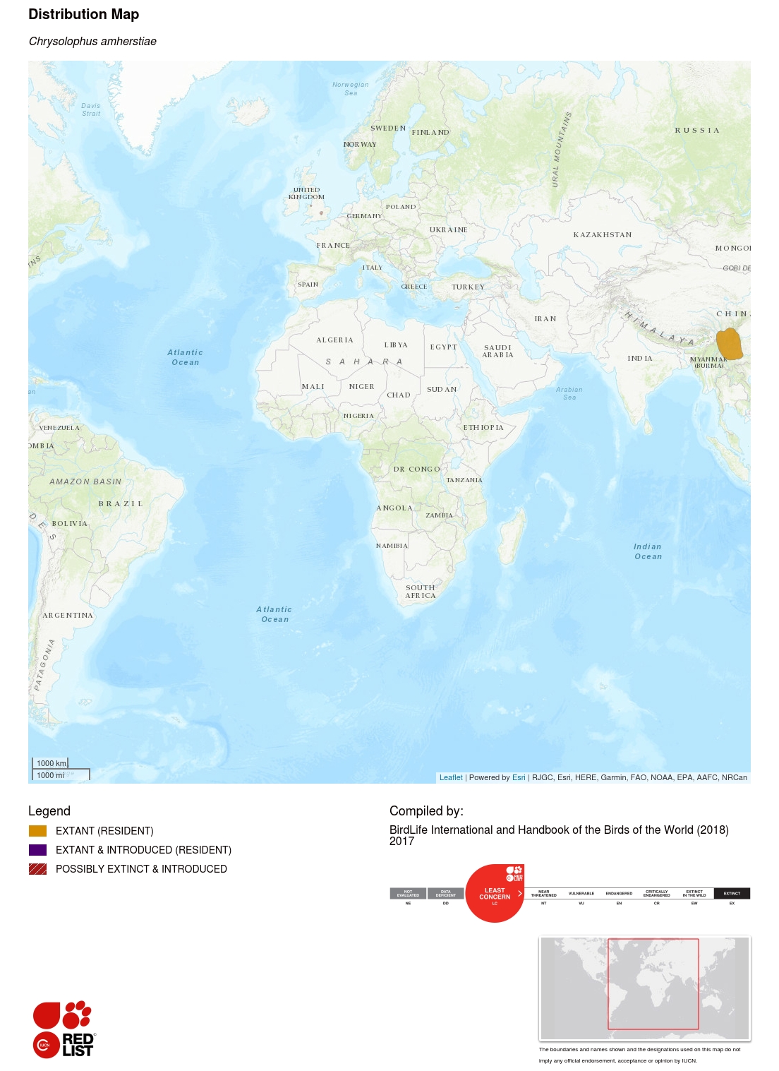 Lady Amherst Distribution Map