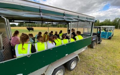 Working with our Local School, Watlington Community Primary School