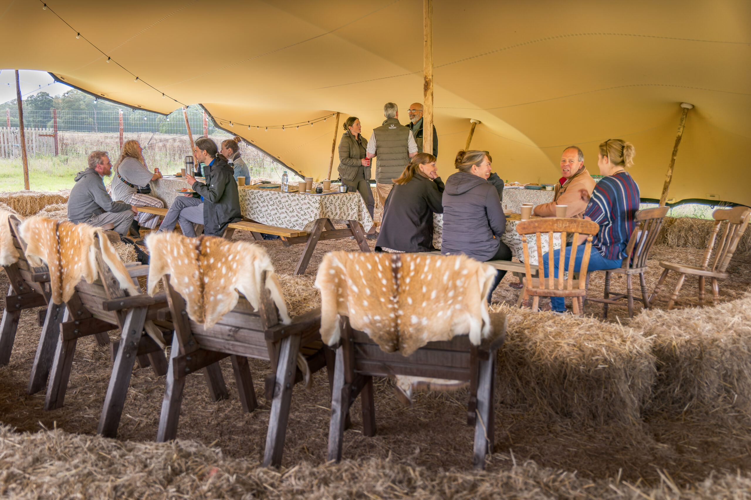 Stretch Tent Space