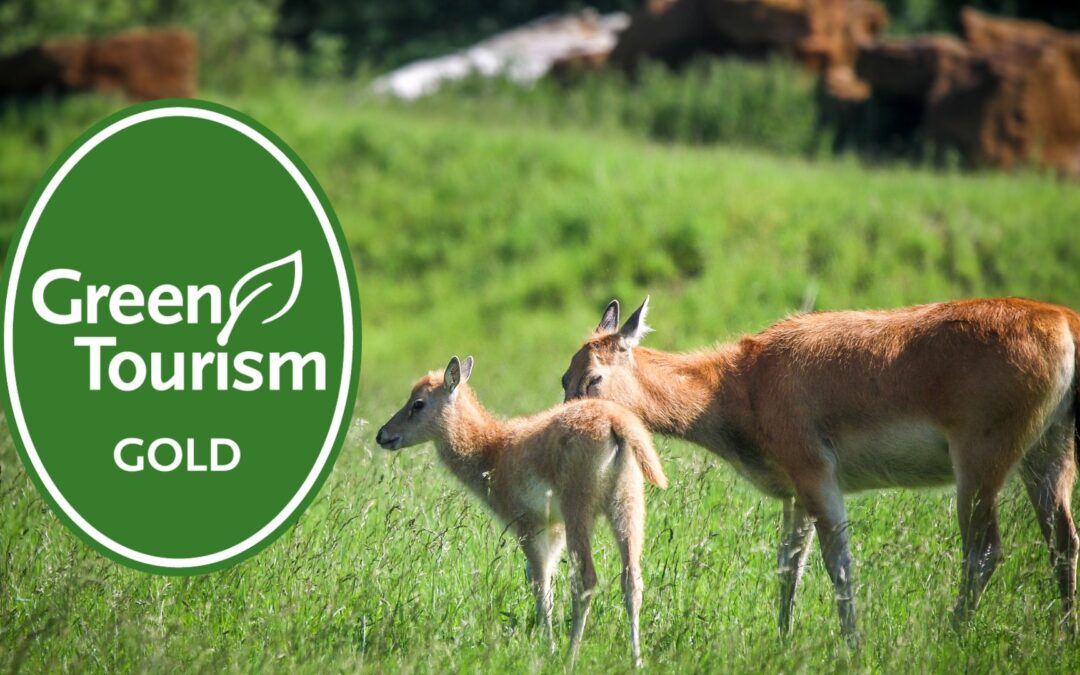 Watatunga Wildlife Reserve achieves Gold Green Tourism Award