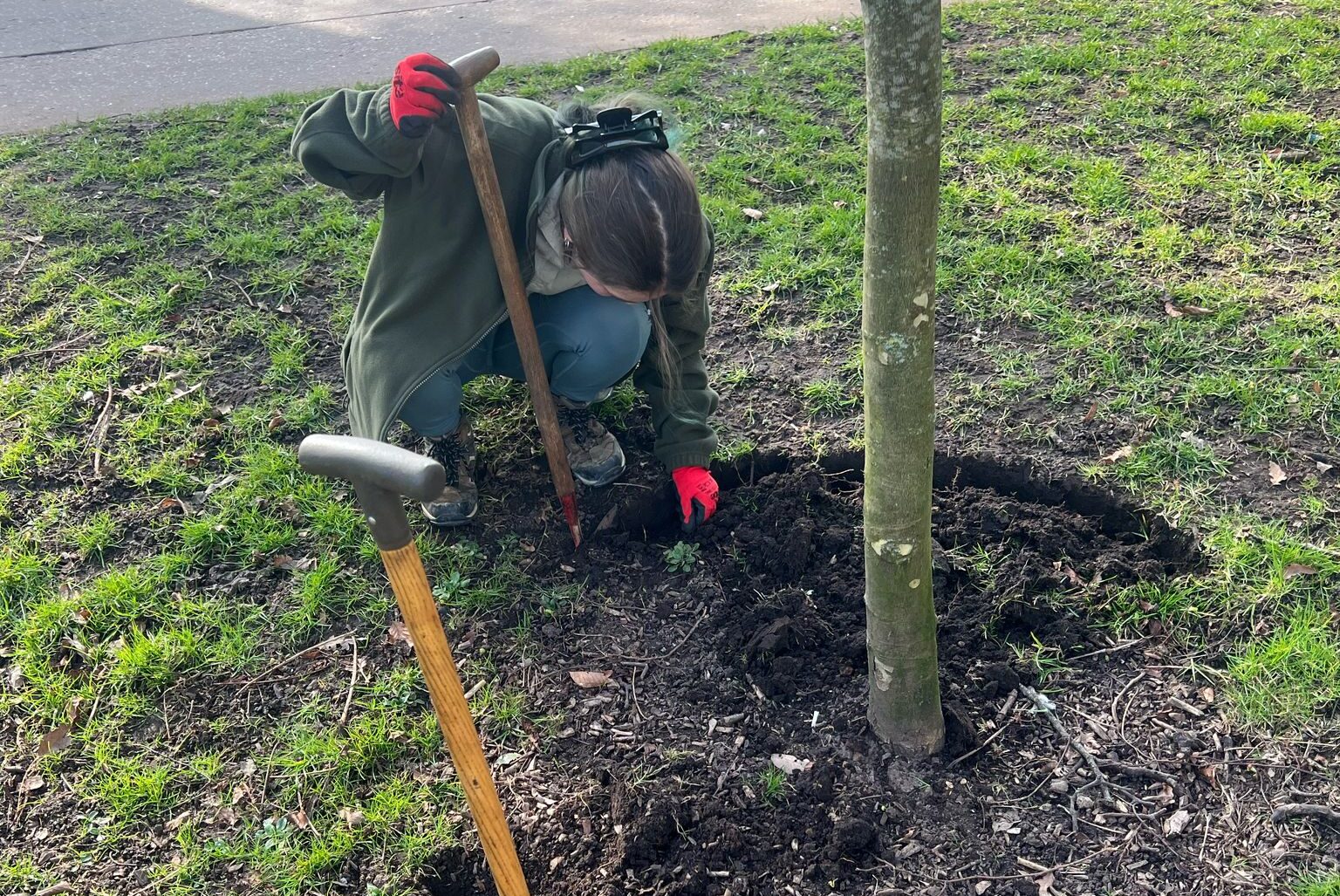 The Walks community project