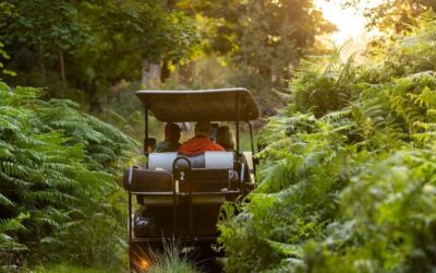 Why Autumn is the best Time to Visit Watatunga