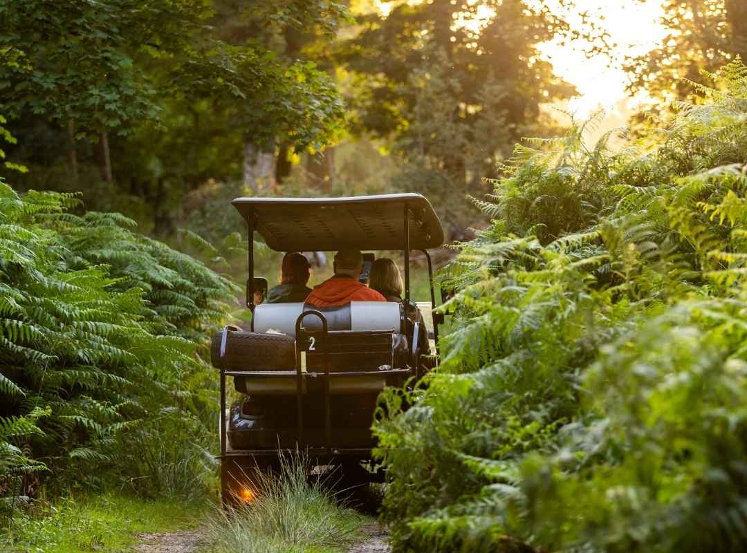 Autumn Activities in Norfolk