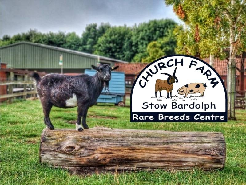 Church Farm