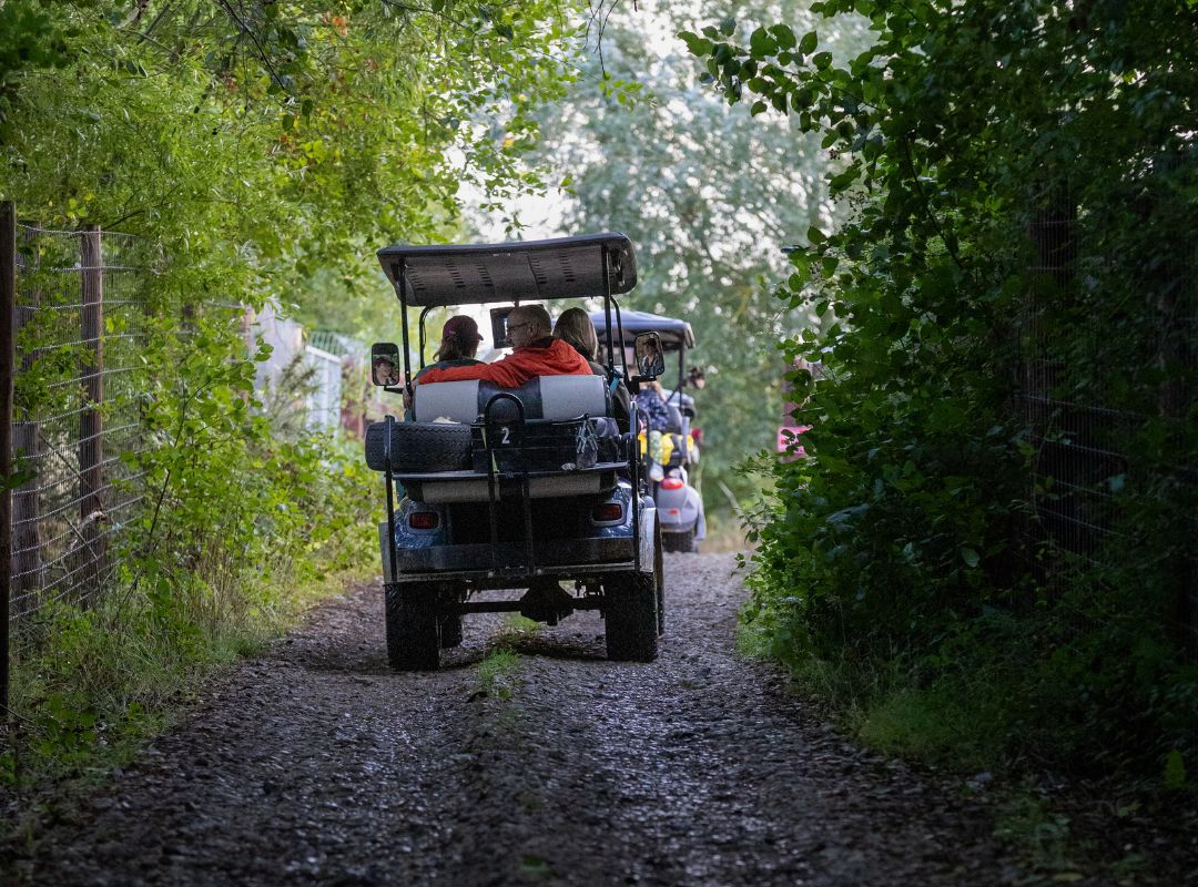 Safari Tour - Gareth Safari Tour