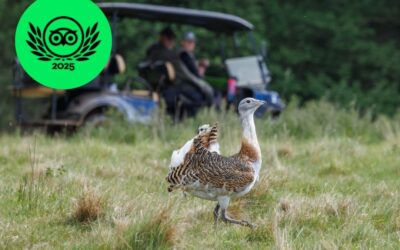 Becoming East Anglia’s Top Wildlife Experience