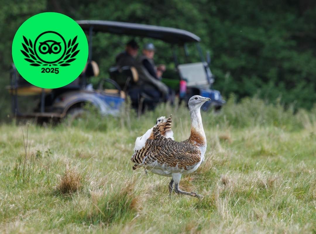 Tripadvisor awards winner blog Tripadvisor awards winner