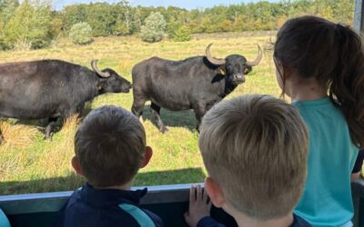 How Watatunga School Trips Bring Wildlife Learning to Life