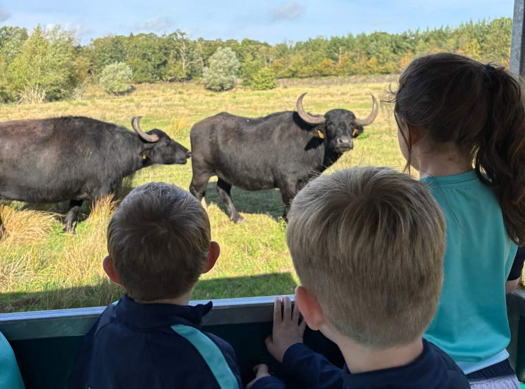 Kings Ely School Trip to Watatunga Kings Ely School Trip to Watatunga