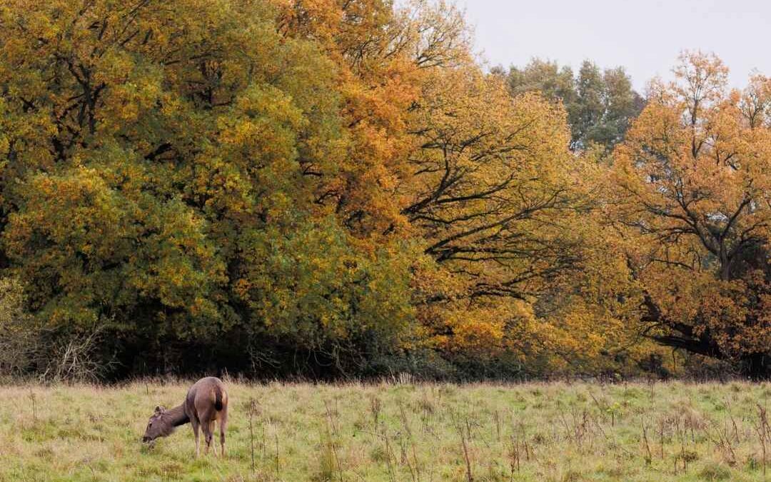 Capturing the seasons at Watatunga through photography workshops