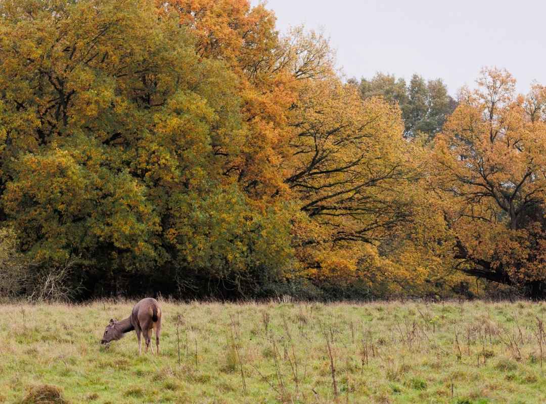 Seasonal Photography Workshops