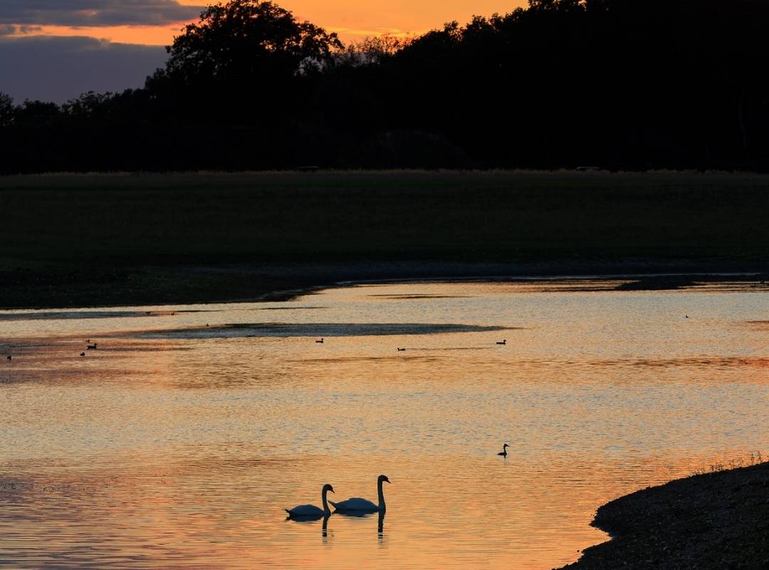 Watatunga wildlife reserve photography