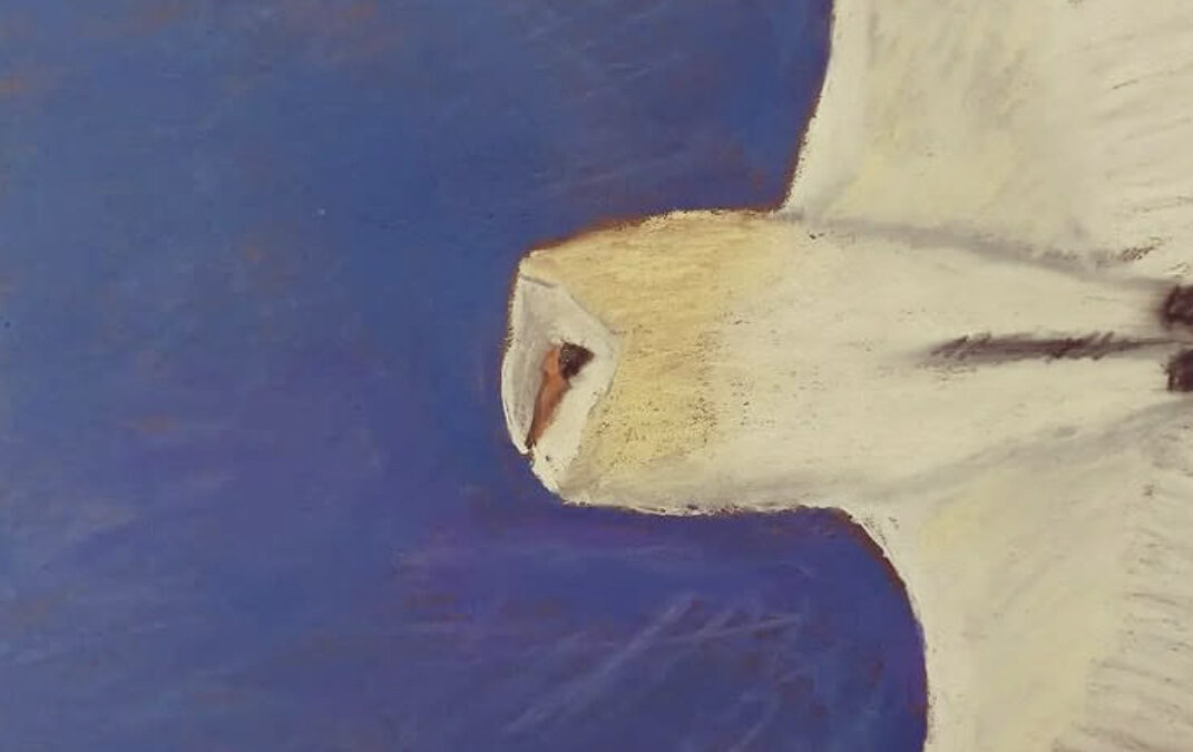 Summer Art Safari: A Wildlife Art Workshop in Norfolk