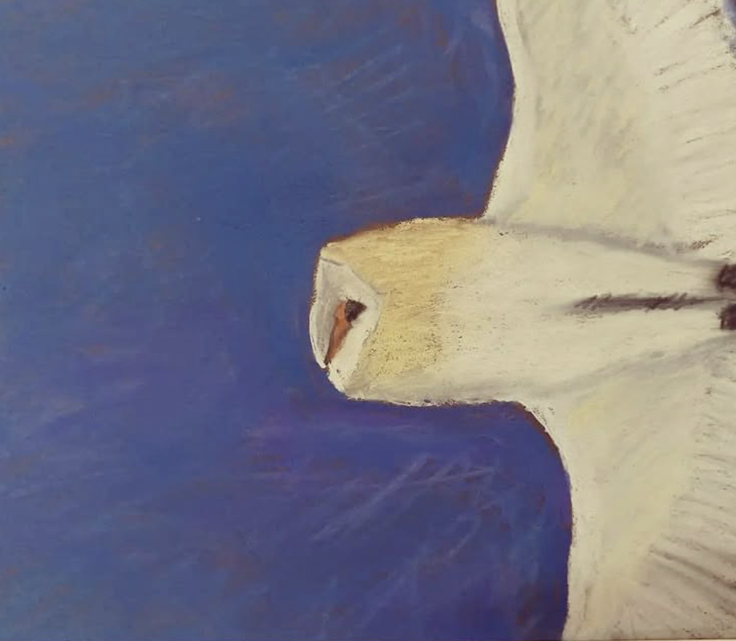 Wildlife Art Workshop in Norfolk Wildlife Art Workshop in Norfolk