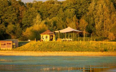 Watatunga’s Wildlife Events in Norfolk