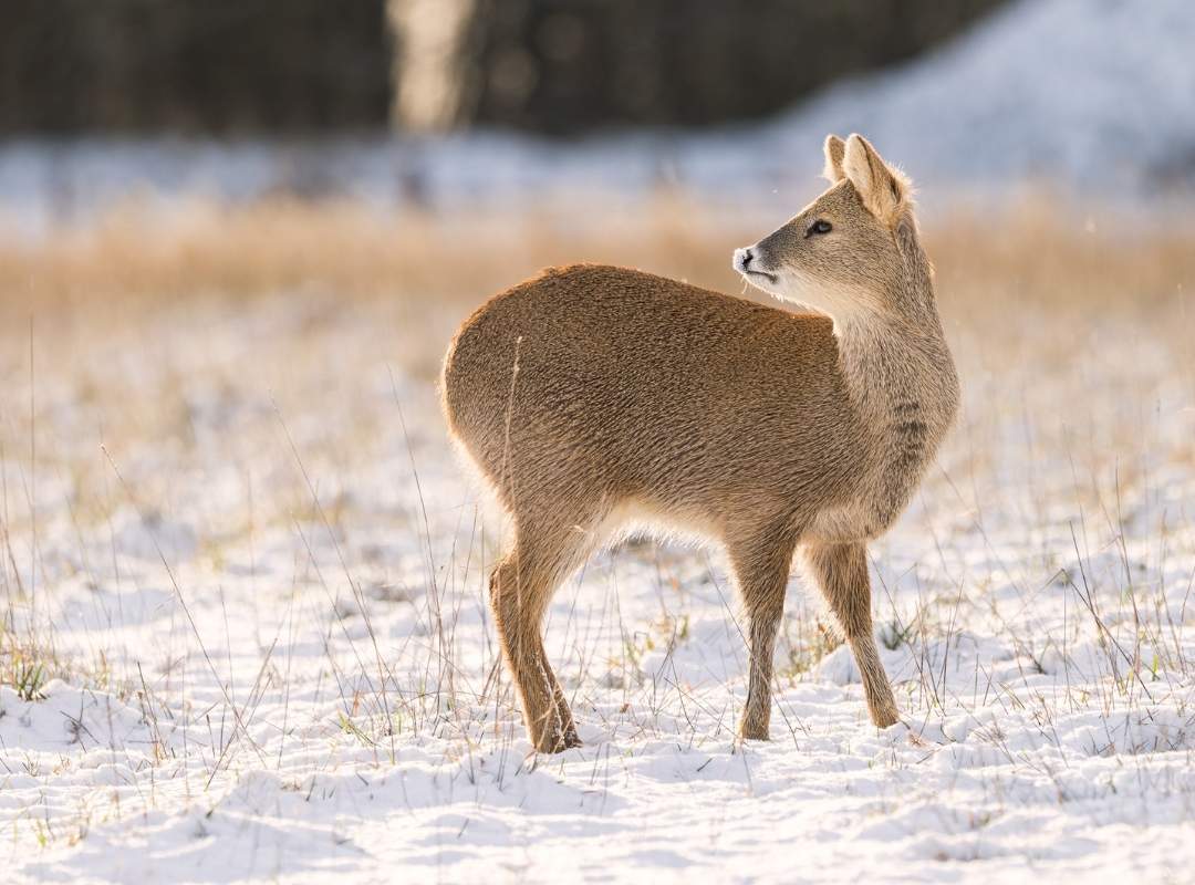Winter scenery on a photography workshop