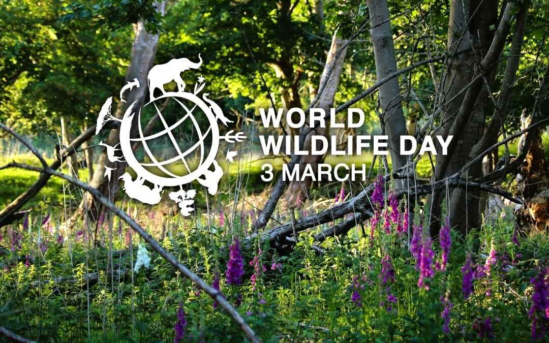 World Wildlife Day: Medicinal Plants and Wildlife Conservation