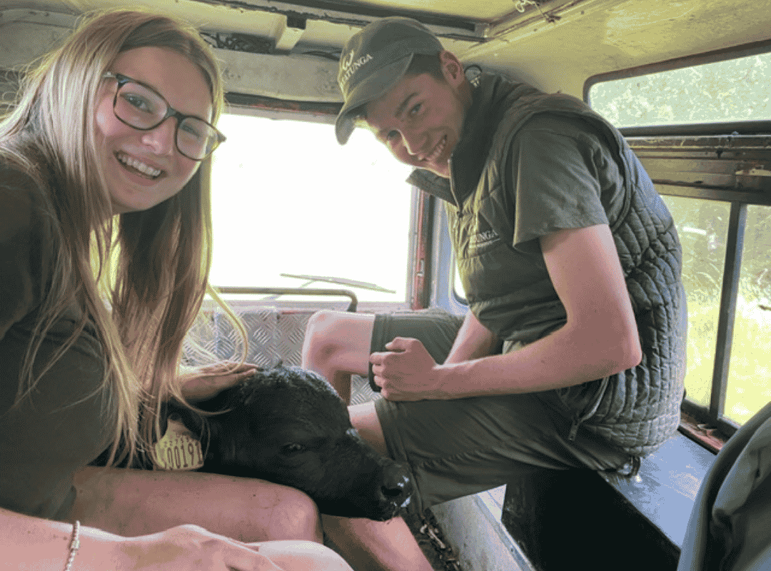 Wildlife Experience