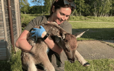 Behind the Scenes Wildlife Tour at Watatunga
