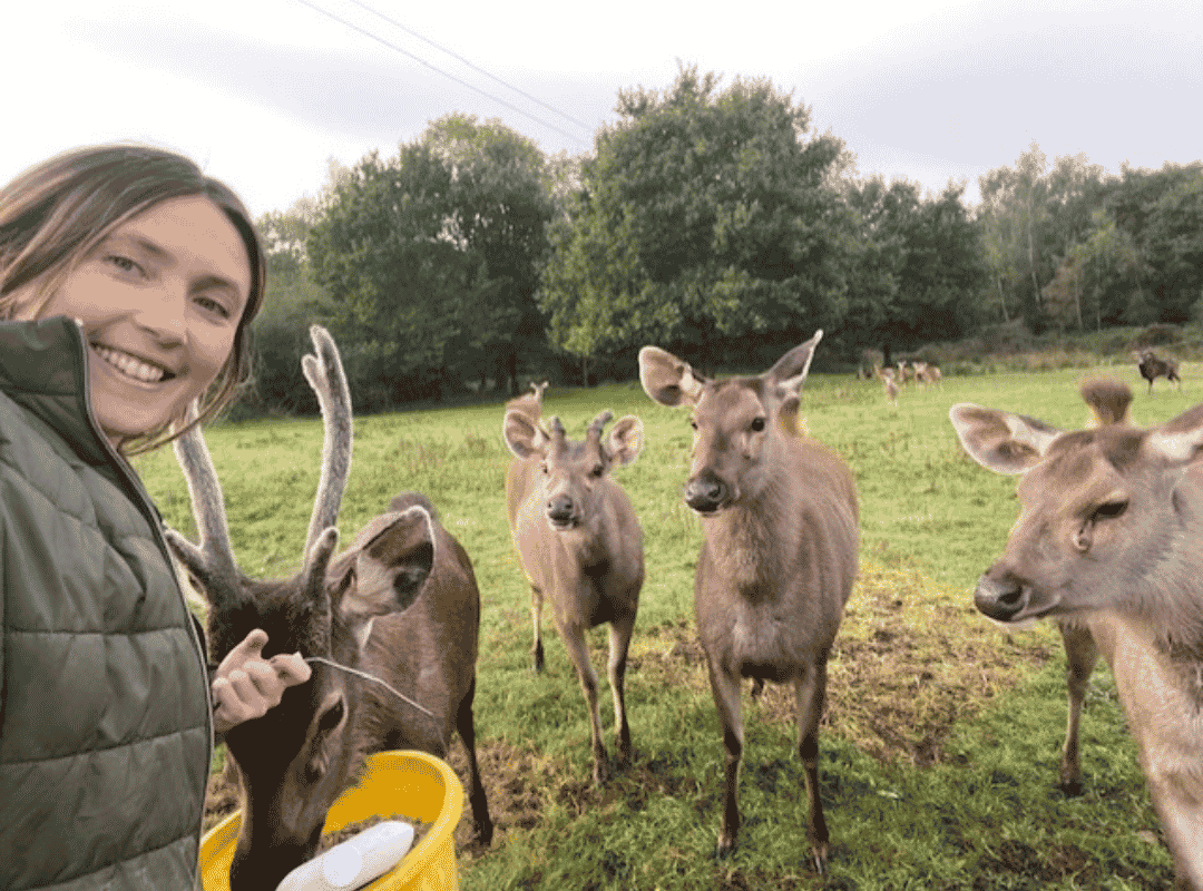 behind the scenes wildlife tour