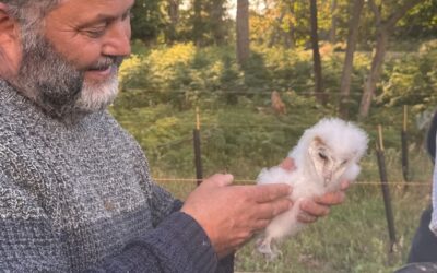 The Future of Conservation at Watatunga Wildlife Reserve