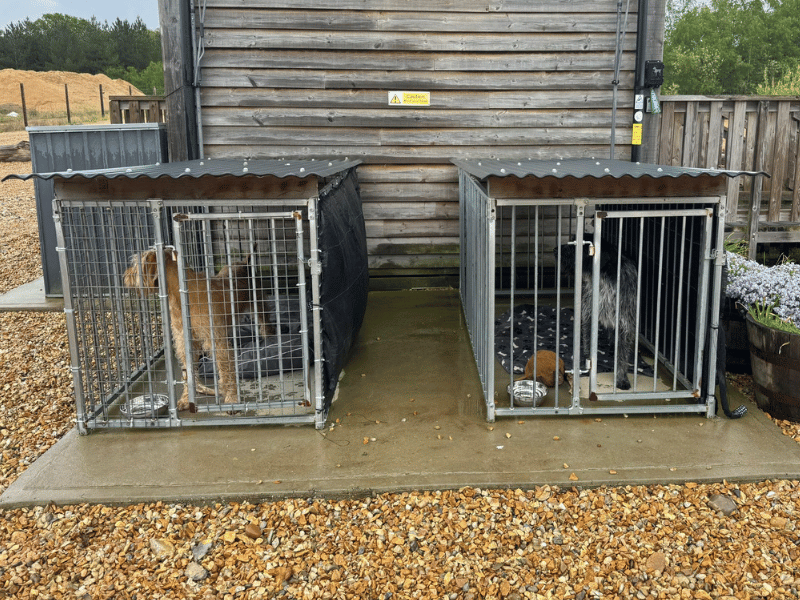 Dog Kennels at Watatunga