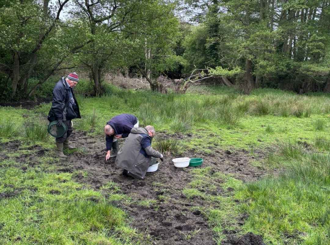 Norfolk & Norwich Naturalists' Society at Watatunga
